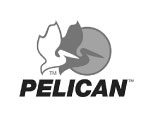 Pelican Logo